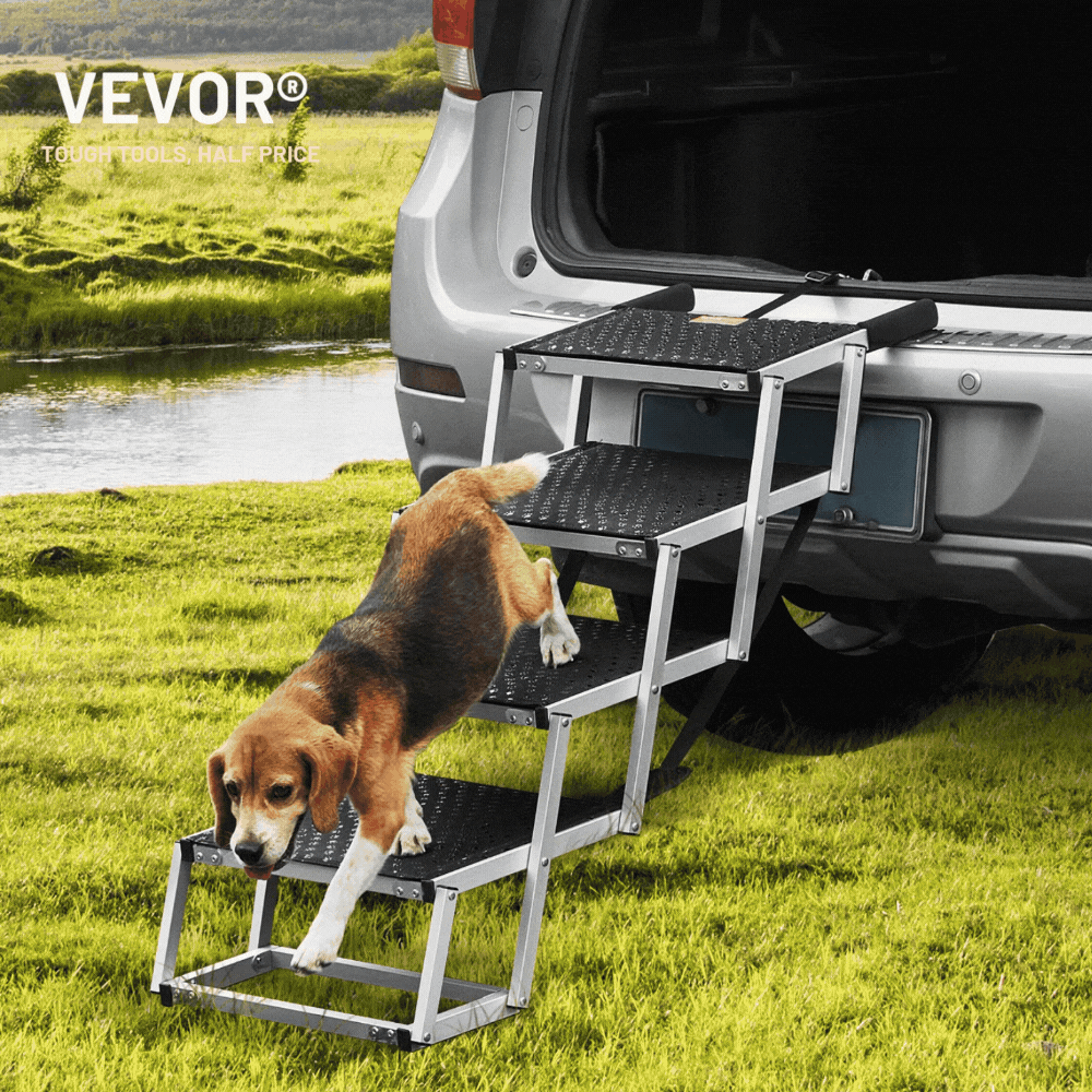 A black folding plastic pet ramp extends from the open trunk of a grey SUV onto the pavement.