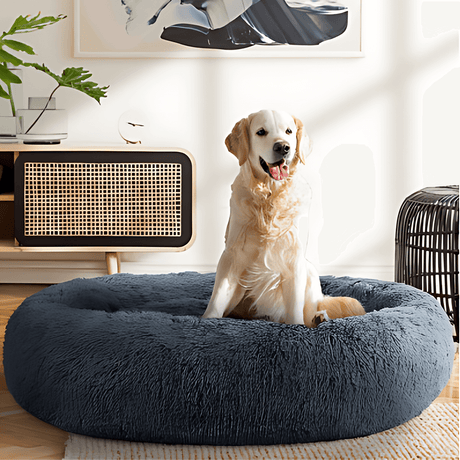 i.Pet Washable Pet Bed - Extra Large