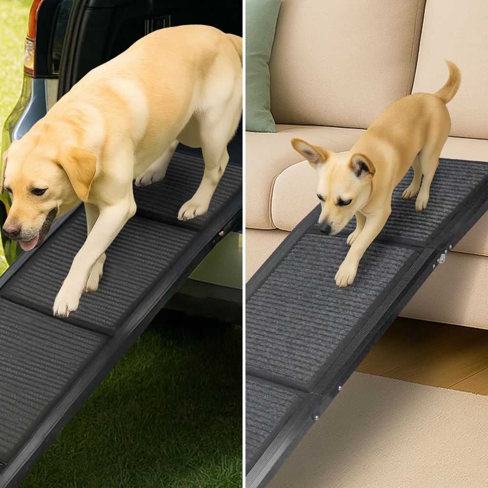 Dog using a pet ramp in two different settings: outdoors and indoors.