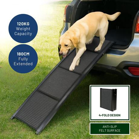 Dog using a black pet ramp to enter a car, with product details on capacity and dimensions.