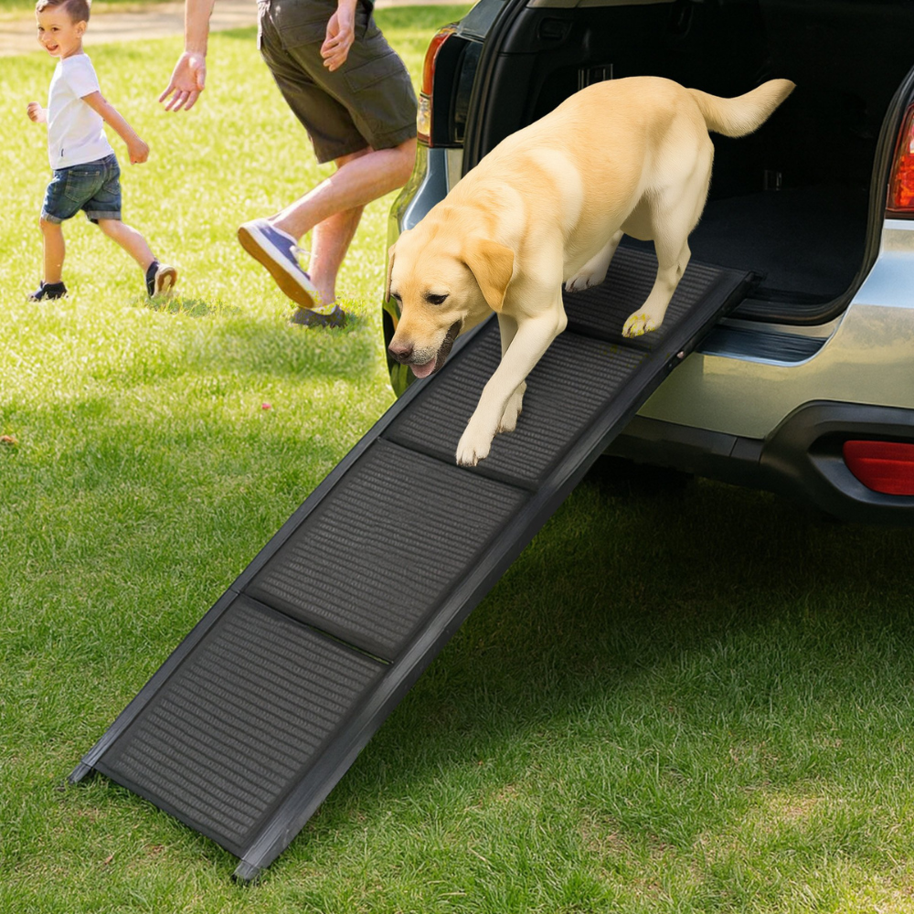 Dog using a ramp to get into an open car with people in the background on grass.