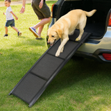 Dog using a ramp to get into an open car with people in the background on grass.