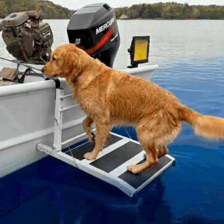 Heeve® Folding Aluminium Dog Water Ramp for Boats & Docks