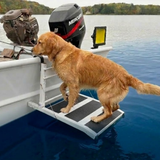 Dog using a Heeve® Folding Aluminium Dog Water Ramp for Boats & Docks on a lake 