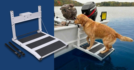 Heeve Folding Aluminium Dog Water Ramp for Boats & Docks - ramp with two straps, and a golden retriever stepping from a boat onto the ramp over the water