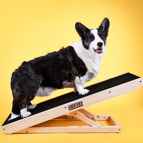 dog on Heeve 'Up-Ya-Get' Wooden Dog Ramp For Beds & Couches