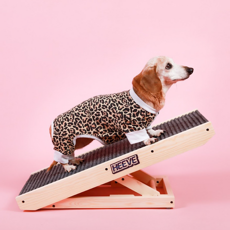 dog on Heeve 'Up-Ya-Get' Wooden Dog Ramp For Beds & Couches