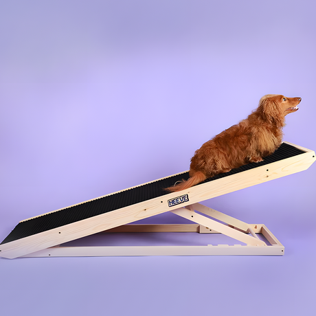 dog on Heeve 'Up-Ya-Get' Wooden Dog Ramp For Beds & Couches
