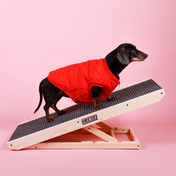 dog on Heeve 'Up-Ya-Get' Wooden Dog Ramp For Beds & Couches