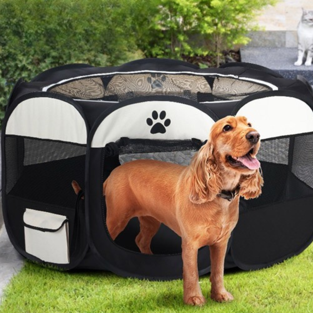 A brown spaniel standing halfway out of a black and white pet playpen on a green lawn.