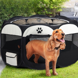 A brown spaniel standing halfway out of a black and white pet playpen on a green lawn.