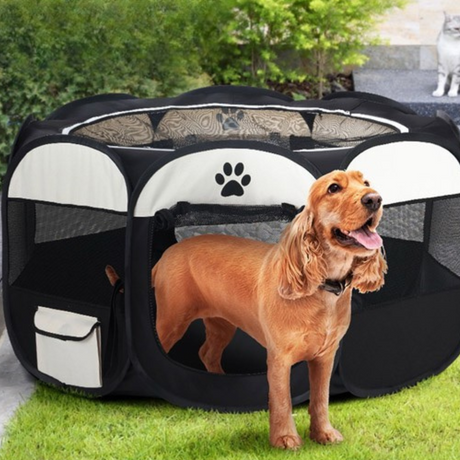 A brown spaniel standing halfway out of a black and white pet playpen on a green lawn.