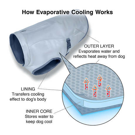 Kurgo Core Cooling Dog Vest - Icy Blue/Storm Blue