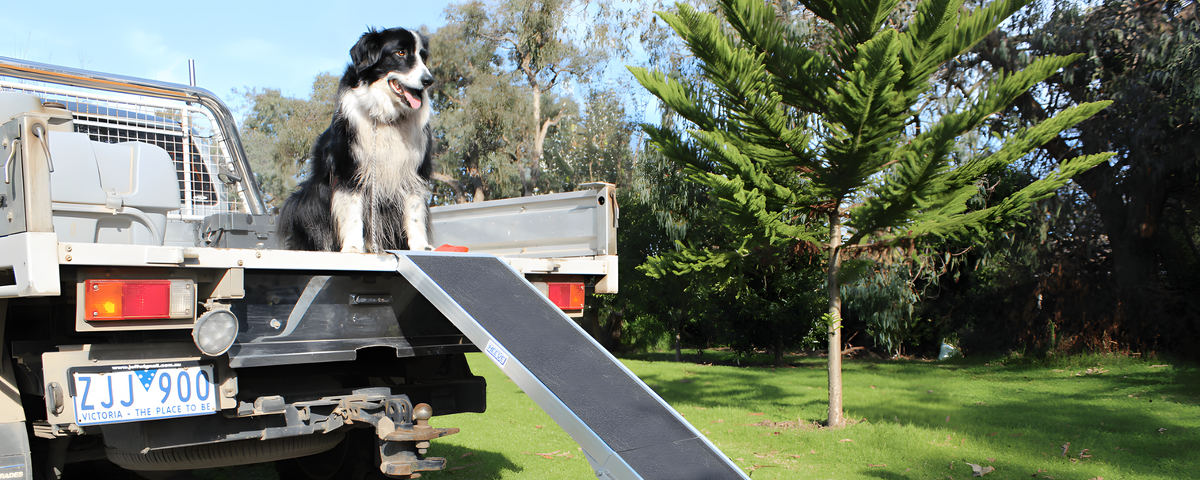 Ramp Champ – Australia's Largest Range of Ramps