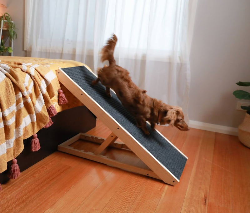 A dachshund walking up a Heeve dog ramp to the bed
