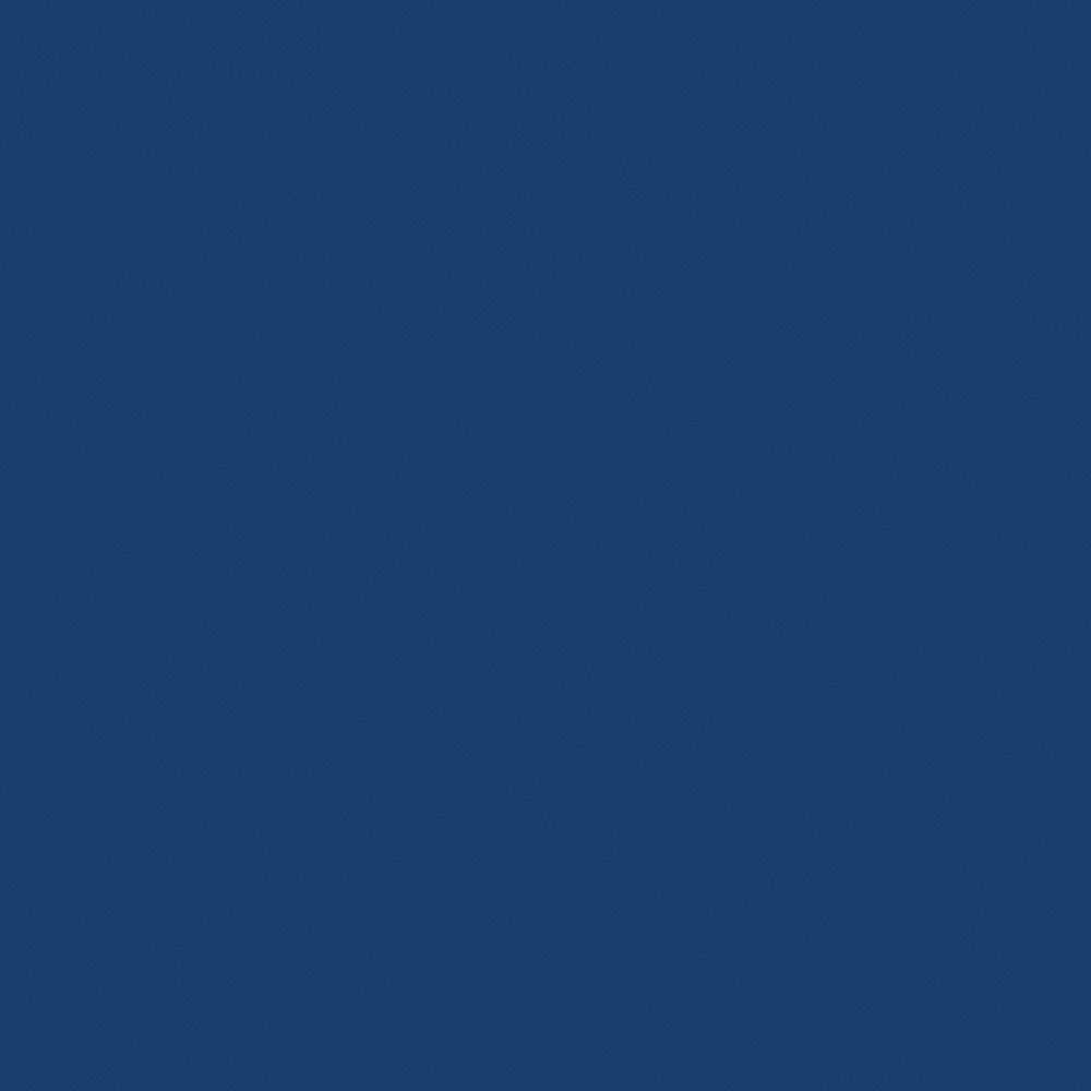 Collage of 2-step stairs: dog exiting RV, hot tub access, painting, and door entry.