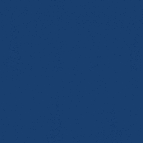 Collage of 2-step stairs: dog exiting RV, hot tub access, painting, and door entry.