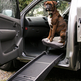 Dog sitting on a car seat with a open car door and a pet ramp