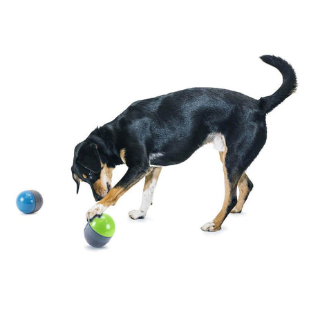 PetSafe® Ricochet Electronic Interactive Sound Dog Toys - PetSafe - Ramp Champ