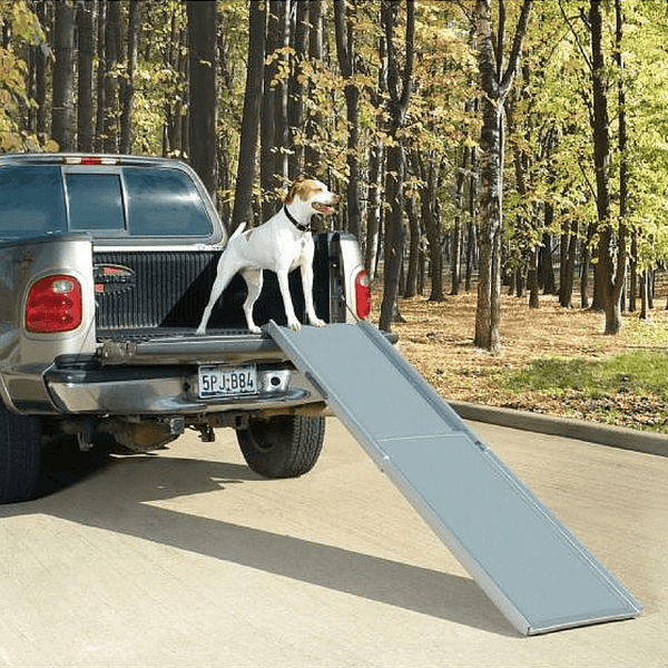 Happy Ride Deluxe Telescoping Ramp XL Ramp Champ