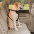 Kurgo® Direct to Seatbelt Tether for Dogs - Kurgo - Ramp Champ