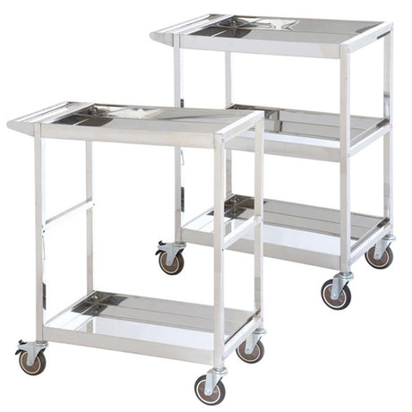 Troden Workshop Equipment Durolla Stainless Steel Hospital Trolley, 200kg Capacity