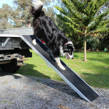 Heeve Pet Products Heeve 'Up-Ya-Get' Folding Aluminium Dog Ramp
