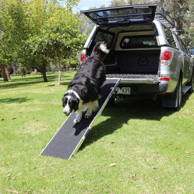 Heeve 'Up-Ya-Get' Folding Aluminium Dog Ramp – Ramp Champ
