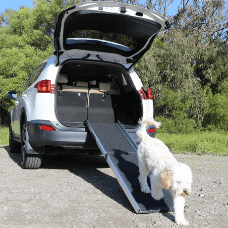 Heeve 'Up-Ya-Get' 1.8m Telescopic Dog Ramp - RAMP CHAMP