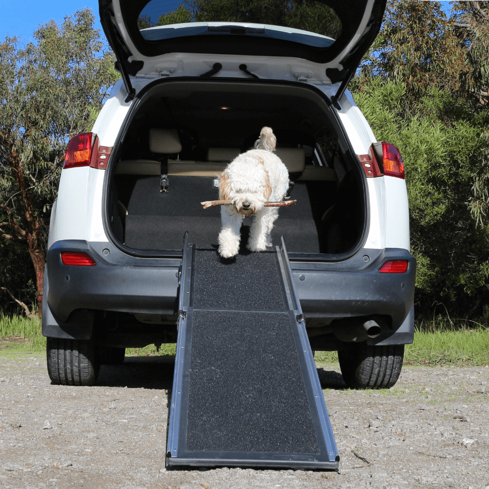 Heeve 'Up-Ya-Get' 1.8m Telescopic Dog Ramp - RAMP CHAMP