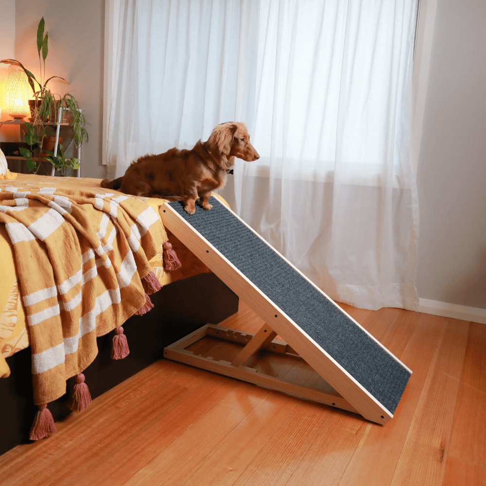 Heeve Pet Products Heeve 'Up-Ya-Get' Wooden Dog Ramp For Beds & Couches
