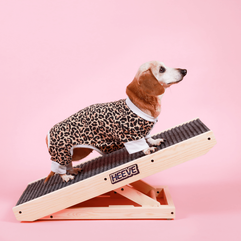Heeve Pet Products Heeve 'Up-Ya-Get' Wooden Dog Ramp For Beds & Couches