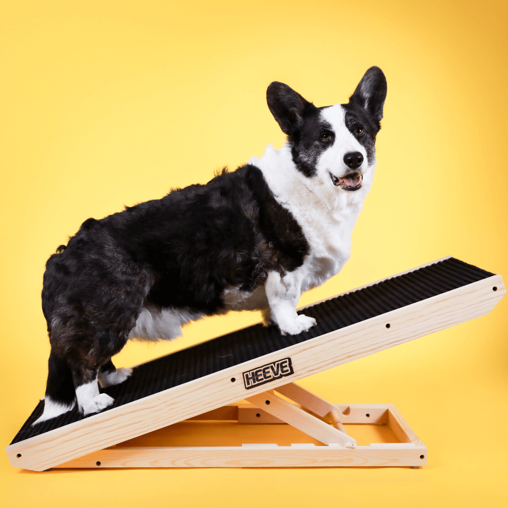Heeve Pet Products Heeve 'Up-Ya-Get' Wooden Dog Ramp For Beds & Couches
