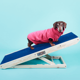Heeve Pet Products Heeve 'Up-Ya-Get' Wooden Dog Ramp For Beds & Couches
