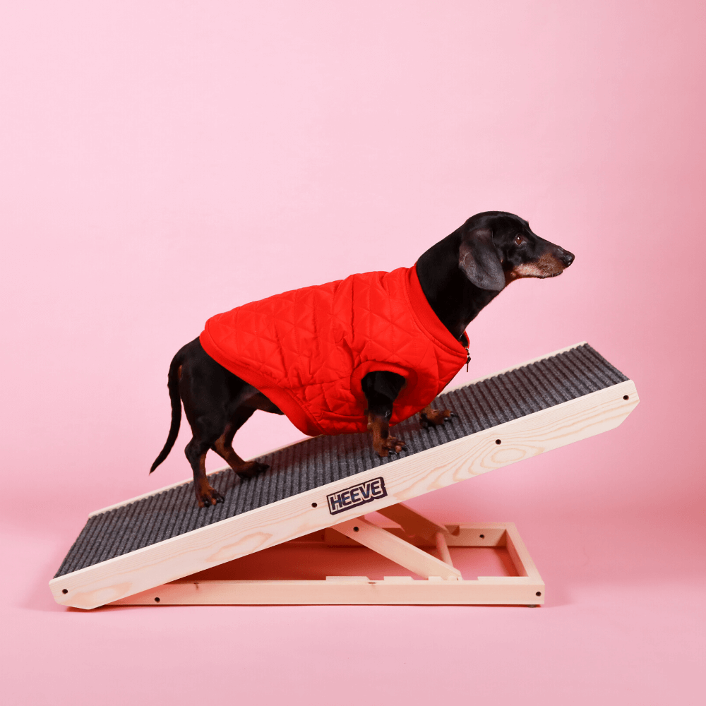 Heeve Pet Products Heeve 'Up-Ya-Get' Wooden Dog Ramp For Beds & Couches