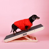 Heeve Pet Products Heeve 'Up-Ya-Get' Wooden Dog Ramp For Beds & Couches
