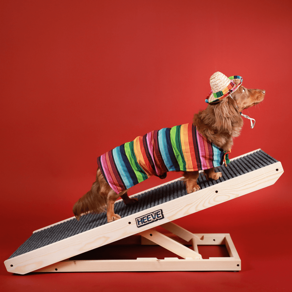 Heeve Pet Products Heeve 'Up-Ya-Get' Wooden Dog Ramp For Beds & Couches