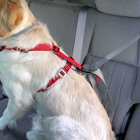 Kurgo® Tru-Fit Enhanced Strength Dog Car Harness - Black - Kurgo - Ramp Champ