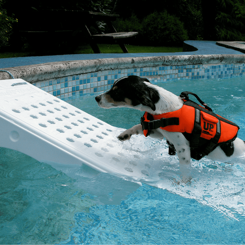 Skamper Ramp | Pet Pool Ramps | Ramp Champ