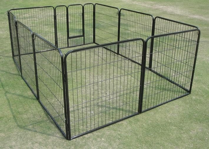 10 x 800 Tall Panel Pet Exercise Pen Enclosure - Ramp Champ - Ramp Champ