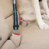 Kurgo® Direct to Seatbelt Tether for Dogs - Kurgo - Ramp Champ