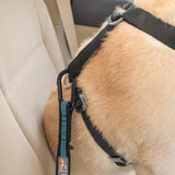 Kurgo® Direct to Seatbelt Tether for Dogs - Kurgo - Ramp Champ