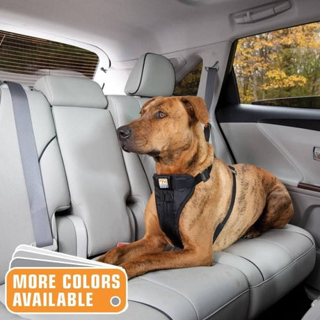 Kurgo® Tru-Fit Enhanced Strength Dog Car Harness - Black - Kurgo - Ramp Champ