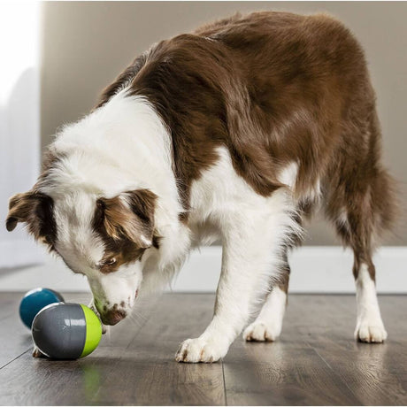 PetSafe® Ricochet Electronic Interactive Sound Dog Toys - PetSafe - Ramp Champ