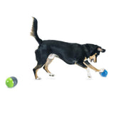 PetSafe® Ricochet Electronic Interactive Sound Dog Toys - PetSafe - Ramp Champ
